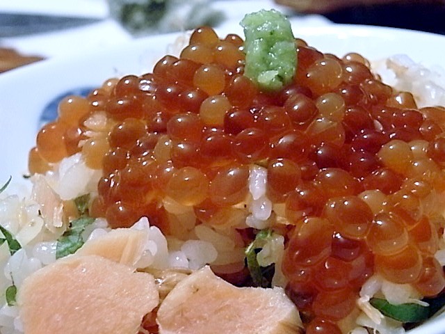 e0061902_729412.jpg
