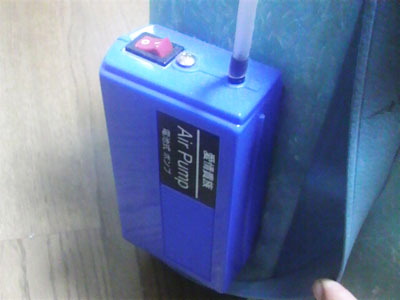 f0082402_2273121.jpg