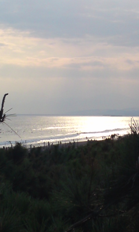 f0151905_1647504.jpg