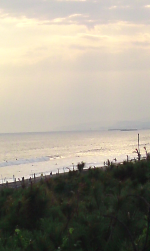 f0151905_16475040.jpg