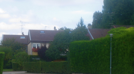 d0135907_5312728.jpg