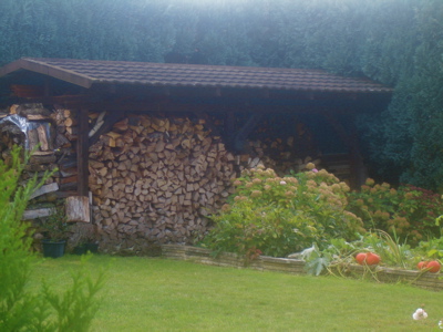 d0135907_532816.jpg