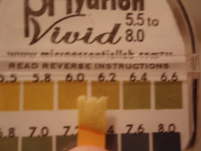 c0145016_11362880.jpg