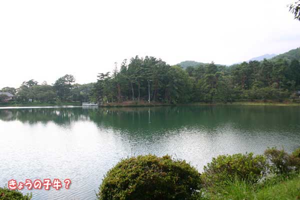 f0203423_16281.jpg