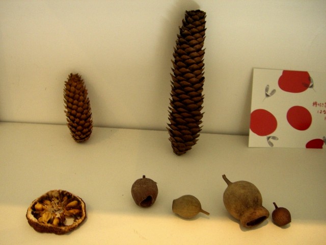 b0152027_132368.jpg