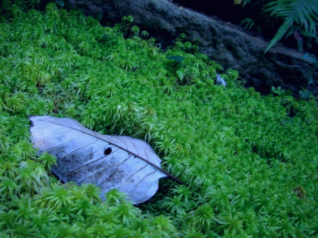 b0152027_14441.jpg