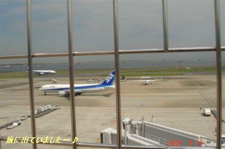 b0102728_9491471.jpg