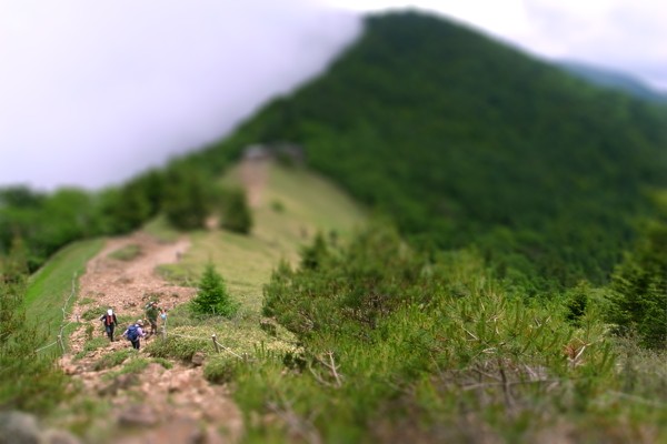 c0070528_1172964.jpg