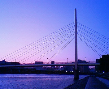 a0127830_15628.jpg