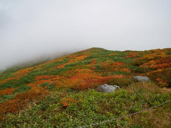 f0118332_2324876.jpg