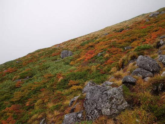 f0118332_2327790.jpg