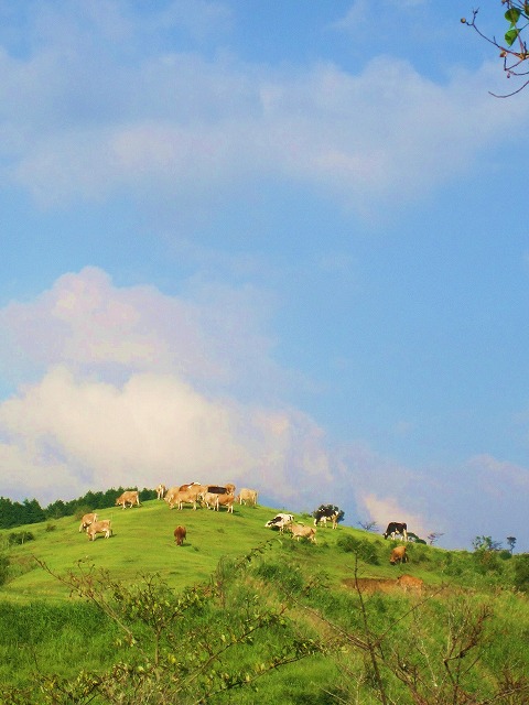 f0184433_22443216.jpg