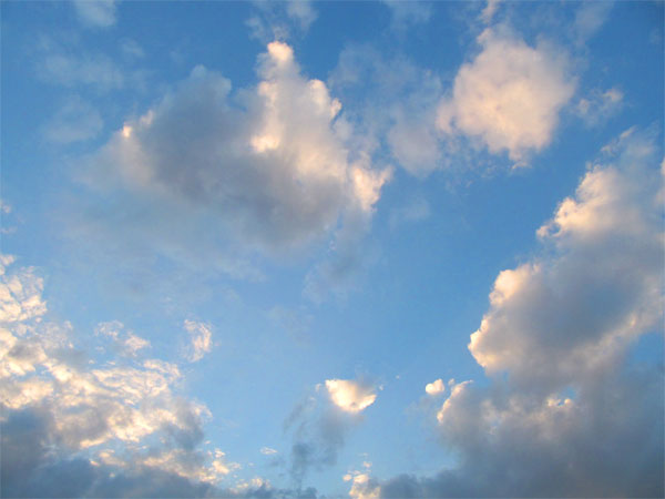 a0095337_23235267.jpg