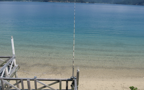b0100637_20385318.gif