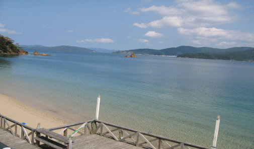 b0100637_2040827.gif