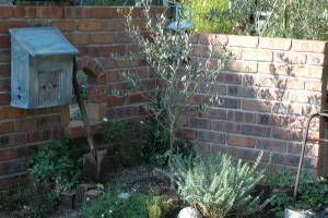 f0188237_1893420.jpg
