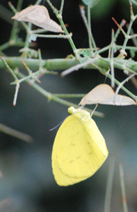 c0085543_015922.jpg