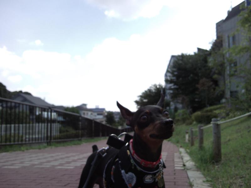 e0150843_2031424.jpg