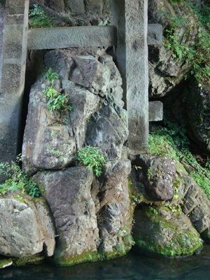 f0072846_23161858.jpg