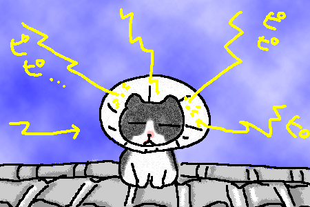f0183846_1124151.gif