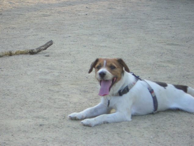 f0077150_9571321.jpg