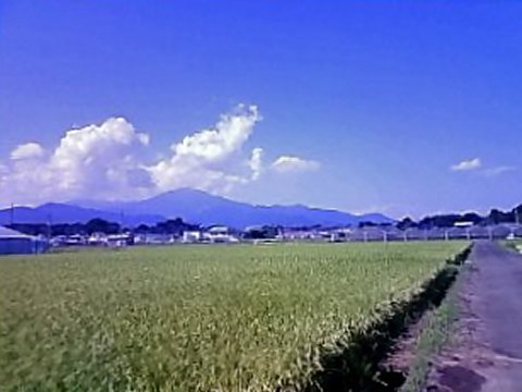 f0044056_145226100.jpg