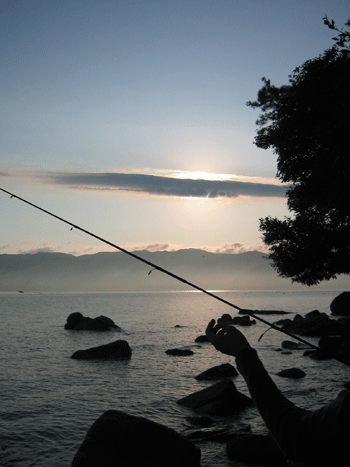 c0002860_20112228.gif
