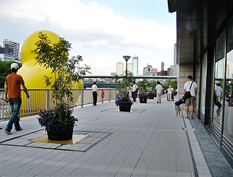 c0167961_184760.jpg