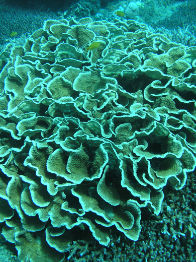 b0062363_23124250.jpg