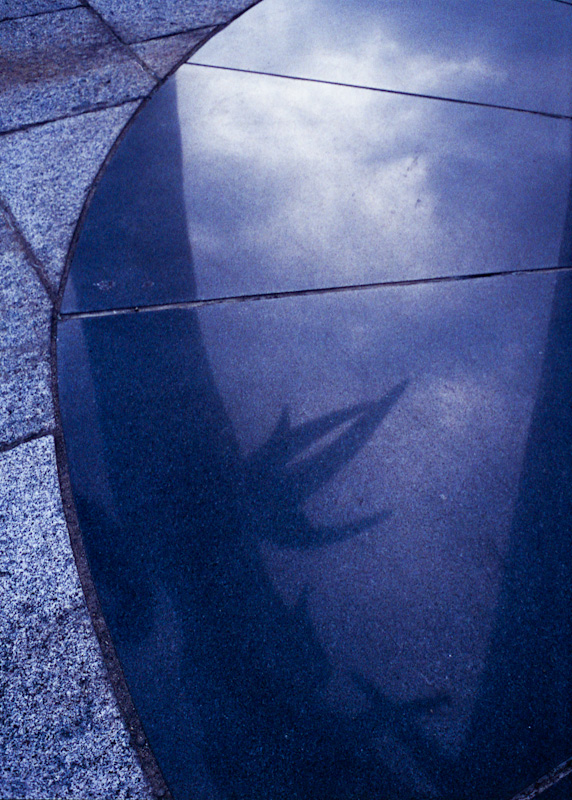c0084666_23511411.jpg