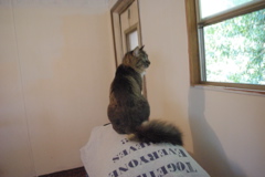 f0004775_4521182.jpg