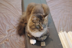f0004775_4535725.jpg