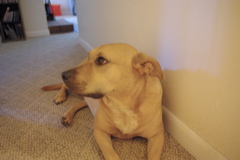 f0004775_4544354.jpg