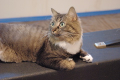 f0004775_4554587.jpg