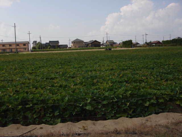 a0040978_15185047.jpg