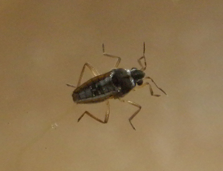 d0121678_17434090.jpg