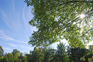 a0062983_16245119.jpg