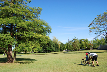 a0062983_16252015.jpg