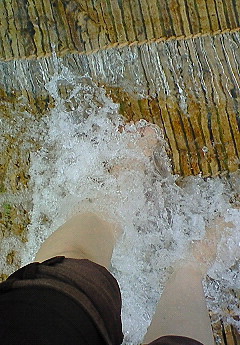 e0088684_18433250.jpg
