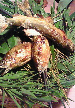 e0088684_18591015.jpg