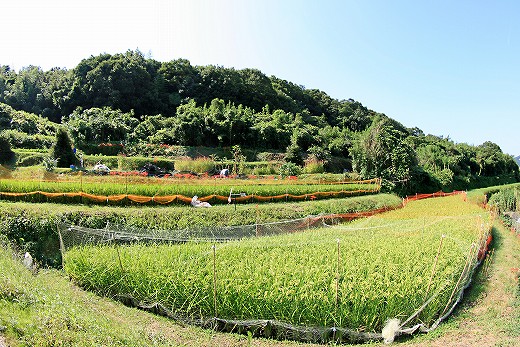 e0190885_19114531.jpg