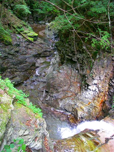 c0136486_1092110.jpg