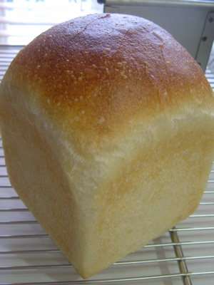 e0030587_82582.jpg