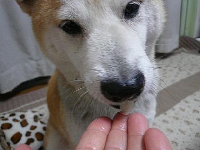 c0123890_2128156.jpg