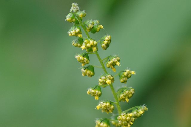 e0070891_2042998.jpg