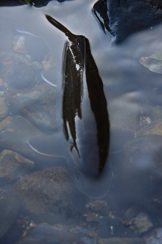 f0129994_12405188.jpg