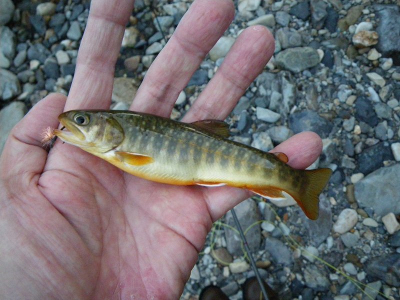 f0129994_12434992.jpg