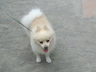 c0138198_16415360.jpg