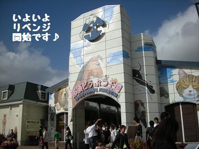 f0081100_1943042.jpg