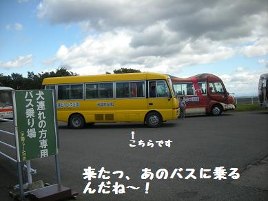 f0081100_19442064.jpg